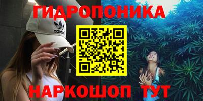 МДПВ Лесосибирск