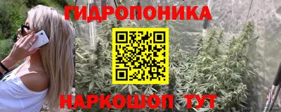 МДПВ Лесосибирск