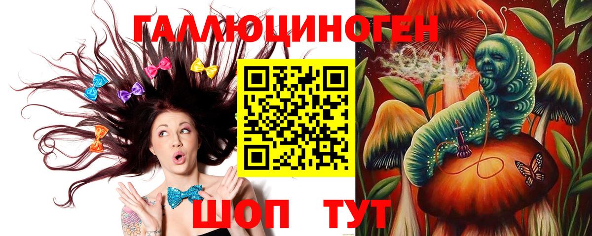 купить наркотики сайты  Вход с VPN  Богородск  Псилоцибиновые грибы мицелий 